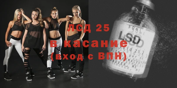 амф Бородино