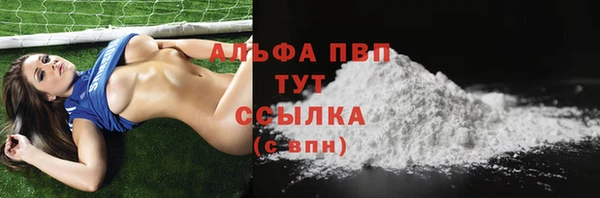 амф Бородино