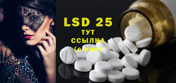 прущие грибы Бугульма