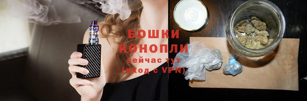 амф Бородино