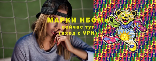 амф Бородино