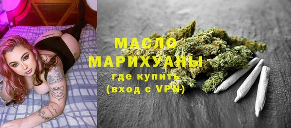 амф Бородино