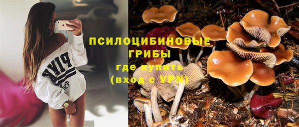 прущие грибы Бугульма