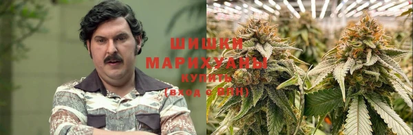 амф Бородино
