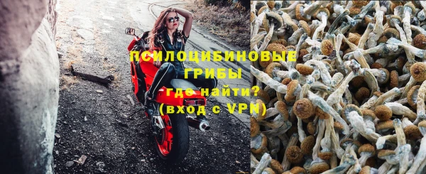гидра Бронницы