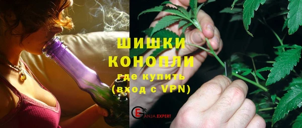 прущие грибы Бугульма