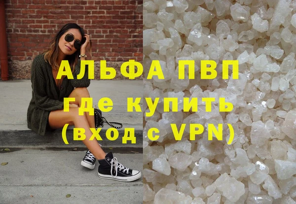 прущие грибы Бугульма